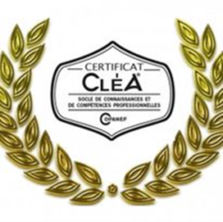clea